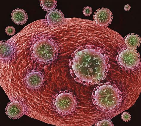 Hiv Infection New Feature Of The Virus Explains Why It