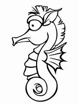 Seahorse Cute Coloring Pages Drawing Outline Printable Template Sea Horse Easy Templates Cartoon Brutus Buckeye Shape Colouring Realistic Clipart Clip sketch template