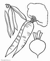 Coloring Vegetables Pages Popular Color sketch template