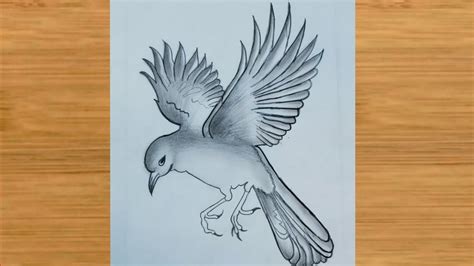 aggregate    bird sketch flying latest seveneduvn