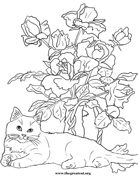 cats  flowers coloring book