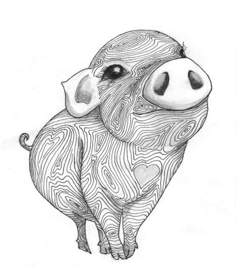 pig drawing ideas  pinterest pig sketch pig illustration