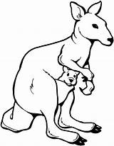 Kangaroo Baby Coloring Pages Clipart sketch template