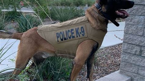 Oro Valley Police Department K9 Receives Body Armor Donation