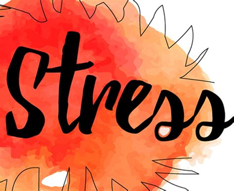 stress verstehen stress abbauen lz empowerment mit lisa zimmermann