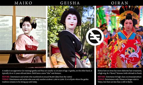 geisha  japan understanding  facts history myths