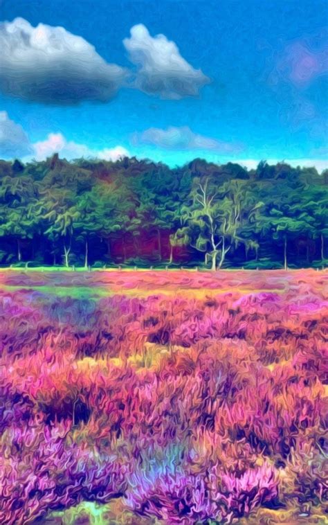 Free Download Nature Multicolor Forest Psychedelic