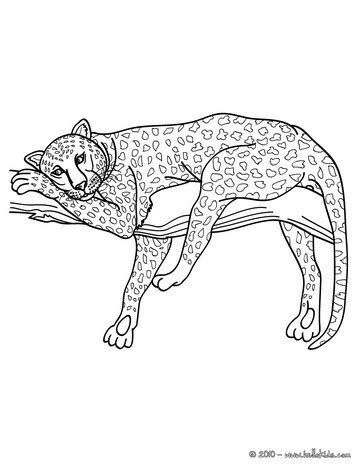 african panther coloring pages hellokidscom