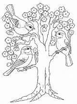 Coloring Spring Pages Coloriage Printemps Arbre Visit Adults Printable Maternelle Bird sketch template