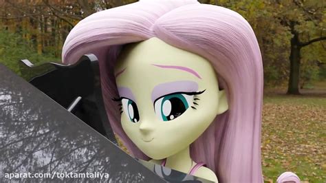 Meeting Fluttershy In The World