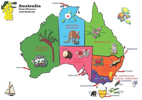 sel caffery kids map  australia manualidades