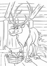 Sven Frozen Kolorowanki Lodu Kraina Kolorowanka Hirsch Reh Wydruku Ausmalbild Maluchy Colornimbus Deer Q2 Drukuj Momjunction Kristoff sketch template