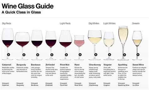 Wine Glass Guide Wine Wedding Wine T Wine Design