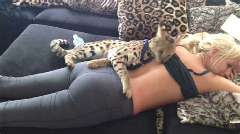 Women sex with cats