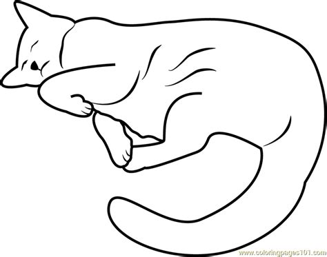 cat sleeping  funnyway printable coloring page  kids  adults