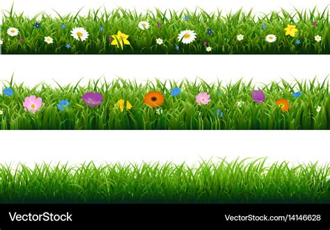 grass border  flower royalty  vector image