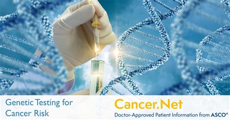 Genetic Testing For Cancer Risk Cancer Net