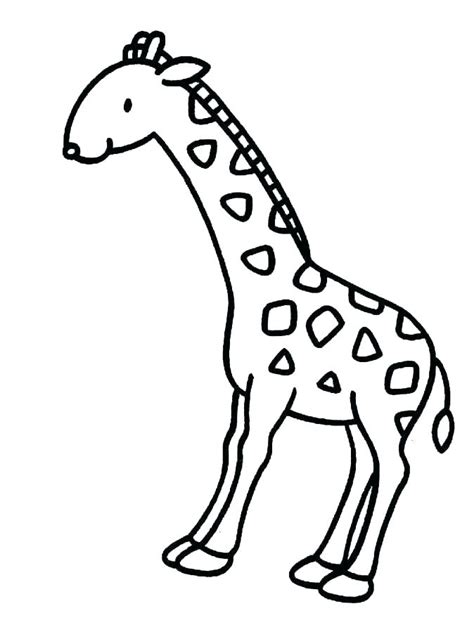 giraffe face coloring pages  getcoloringscom  printable