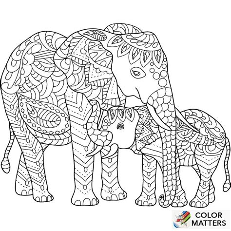 coloring elephant images  pinterest  adult coloring