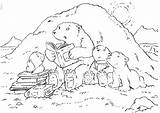 Bear Polar Coloring Pages Printable Kids Bears Hibernating Little Sheets Colouring Bestcoloringpagesforkids Cute Great Coloringpages1001 Getdrawings Lars Animals Popular Filminspector sketch template