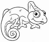 Chameleon Coloring Pages Lizard Print Color Colouring Frilled Printable Template Getcolorings Colorings Getdrawings Kids Drawing sketch template
