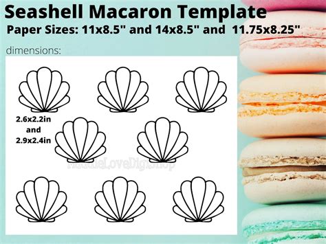 printable seashell macaron template printable templates