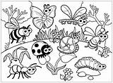 Insects Insect Spiders Colouring Bugs sketch template