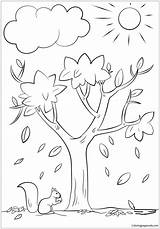 Autumn Tree Coloring Pages Fall Color Printable sketch template