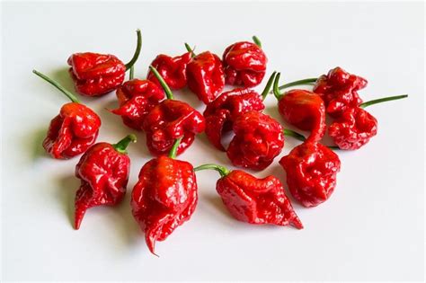 a man ate the world s hottest pepper then the thunderclap