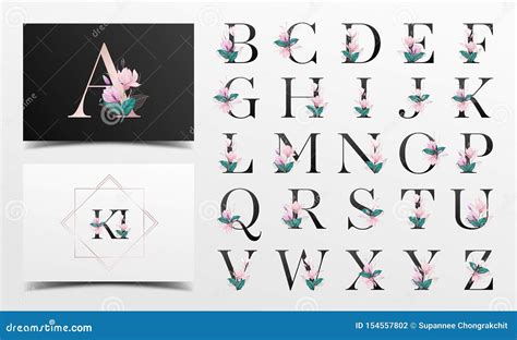 beautiful alphabet letters collection stock illustration illustration  branding floral