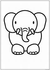 Colorear Elefantes Elefante Dibujoimagenes sketch template