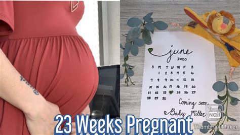 pregnancy update 23 week pregnant youtube