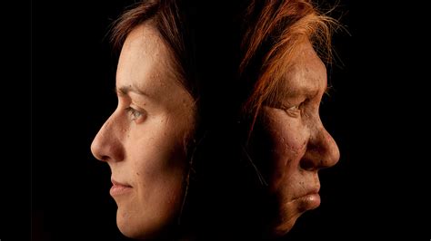 Our Hidden Neandertal Dna May Increase Risk Of Allergies Depression
