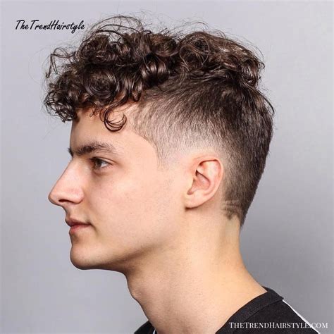 faded curly undercut   curly hairstyles  haircuts  men