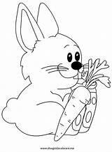 Coniglio Colorare Disegno Coniglietto Rabbit Fattoria Disegnidacolorare Pasquale Pasqua Coniglietti Sagome sketch template