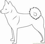 Spitz Coloring Finnish Pages Coloringpages101 Dog Kids Online Mammals sketch template