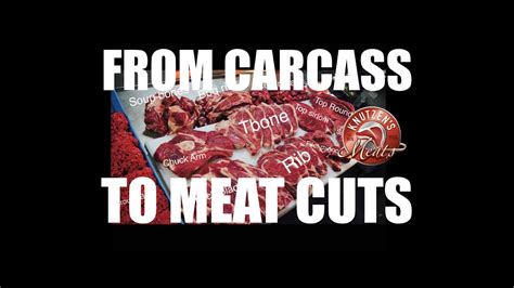 carcass  meat cuts       custom processing