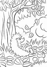 Hedgehog Vriendelijke Leuke Gentile Siede Malvorlagen Sits Foresta Bos Forest Fall Weinig Abila Volpe Sveglia Glimlacht Dichtbij Zit Egel Cunning sketch template
