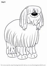 Pound Niblet Sheepdog sketch template