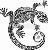 Lizard Stylized Drawing Zentangle Animal Animals Australian Choose Board Covered Silhouette sketch template