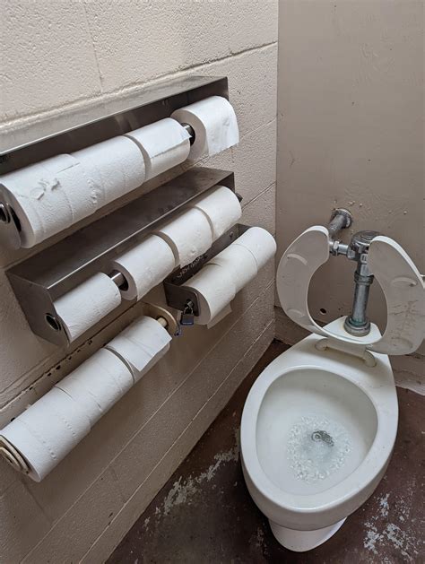 amount  toilet paper   bathroom rmildlyinteresting