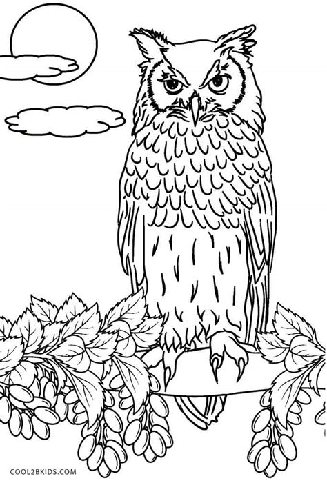 printable owl coloring pages  kids