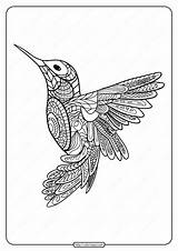 Coloring Coloringoo Hummingbirds sketch template