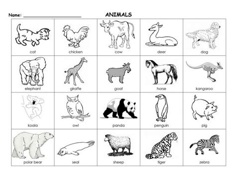printable animal flash cards  images  collection page  animal