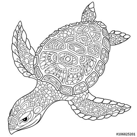 turtle coloring pages images  pinterest coloring books