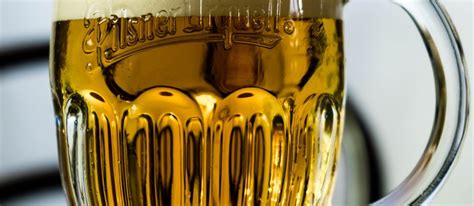 German Pilsner Lightly Hopped Beer Recipe D I Y Beer Build The Bottle