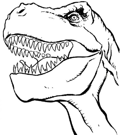 drawing   dinosaurs head  sharp teeth