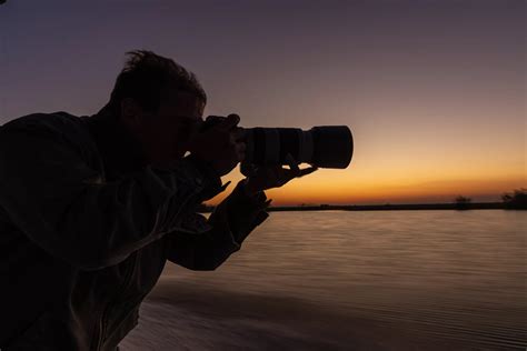 wildlife photography tips  beginners  top  tips