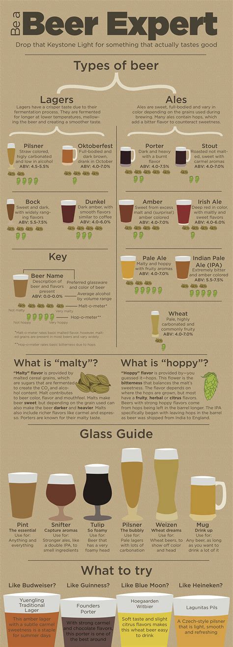 Infographic Provides Guidance For Non Craft Beer Drinkers