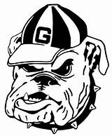 Georgia Bulldogs Coloring Bulldog Football Pages Choose Board Cornhole Cool sketch template